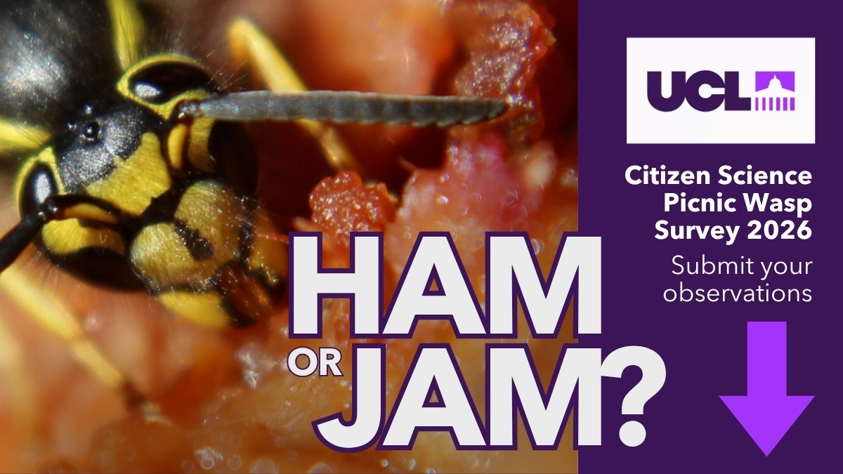 HamorJamSurvey HamorJamSurvey